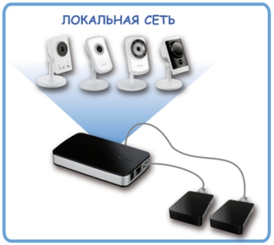 dnr 202l dnr 202l